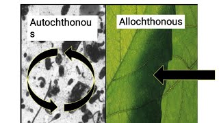 Autochthonous Vs Allochthonous Vs Parautochthonous ll Ecology ll Biology With Iswar ll csirnet 2021 [upl. by Acsirp980]