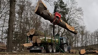 Dicke Eichen und Kiefern laden mit Kiessling Rückewagen  Forest Trailer [upl. by Earl]