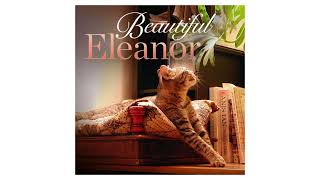 Beautiful Eleanor  Lady Apptitude Official Audio [upl. by Aimil30]