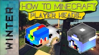 How to get peoples heads in minecraft 110 [upl. by Zia]