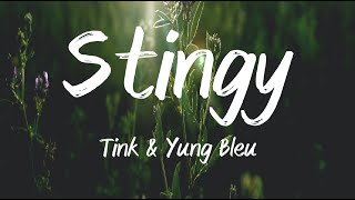 Stingy  Tink amp Yung Bleu Lyrics [upl. by Irving]