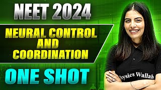 NEURAL CONTROL AND COORDINATION in 1 Shot FULL CHAPTER ConceptsPYQs  Prachand NEET [upl. by Ahseek]