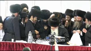 Wedding Of Amshinover Rebbes Son  Cheshvan 5774 [upl. by Aerbas169]