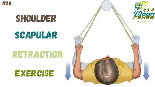 Scapular Strengthening with Theraband  Shoulder Scapular Retraction Exercise [upl. by Ahseeyt]