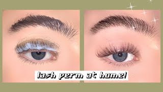 How I Perm My Lashes [upl. by Elleirua]