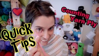 What Is Yarn Ply amp How To Count It  Crochet Quick Tips [upl. by Noryd]