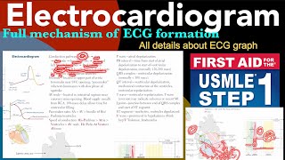 Electrocardiogram full details and mechanism in HindiUrdu by first aid for USMLE step 1 [upl. by Marella]