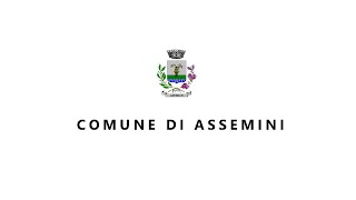 Seduta Consiglio Comunale di Assemini 24 Gennaio 2024 [upl. by Kcirdle]