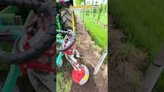 Nursery Weed Control  Clemens Radius SL Weeder [upl. by Calvert641]