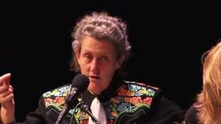 Temple Grandin on education and learning to work [upl. by Esille]