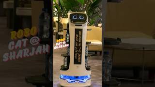 Meet the Walking Talking RoboCat at Sharjah Airport Lounge 😺 RoboCAT SharjahAirport [upl. by Ennagrom]