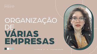 Rafaela organizou as 3 empresas em uma visão [upl. by Braun]