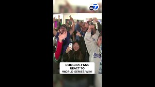 Dodger fans go wild after World Series win [upl. by Norda]