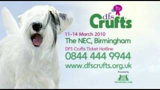 DFS Crufts 2010 TV ad [upl. by Titus232]