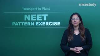 NEET Biology  11 Transport in Plants  NEET Pattern Questions Exercise  In Hindi  By Misostudy [upl. by Aisha503]