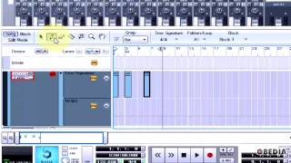 PROPELLERHEAD REASON how to automate a time signature change [upl. by Niatirb]