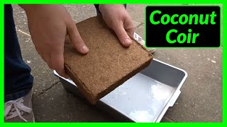 How to expand a Coconut Coir Brick amp Use it in Your Garden [upl. by Aihsakal]