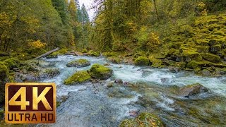 Beautiful Nature Video in 4K Ultra HD  Autumn River Sounds  5 Hours Long [upl. by Ihdin]