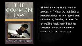 12 THE COMMON LAW By Oliver Wendell Holmes Jr Audiobook full length [upl. by Oringa171]