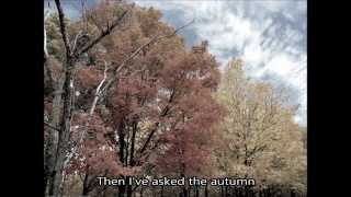 I’ve asked an ash treeЯ спросил у ясеня Eng Sub [upl. by Halilad634]