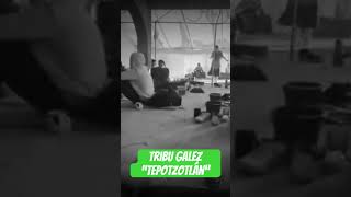 Agua del amor… Tribu Galez cover [upl. by Holtorf]