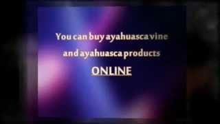 where I can buy ayahuasca [upl. by Ykciv]