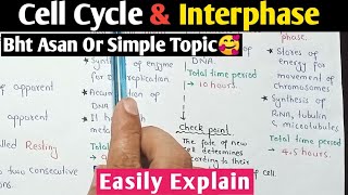 Cell Cycle  Interphase  G1 S amp G2 Phase  Class 12 Biology [upl. by Eseenaj]