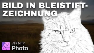 Affinity Photo – Bild In Bleistiftzeichnung Tutorial Deutsch [upl. by Ahrat]