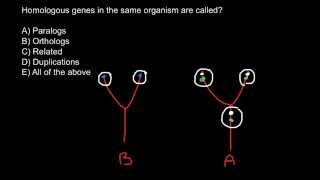 What is the difference between paralogus and orthologus genes [upl. by Seilenna]