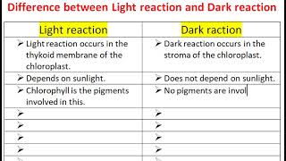 Difference Between Light Reaction and Dark Reaction [upl. by Ahsinyt943]