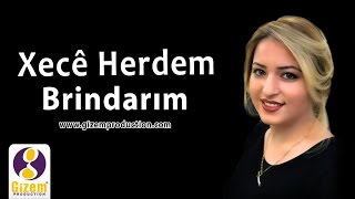 Xecê Herdem Birîndarım Akustik [upl. by Kaete513]