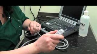 IMV imaging Abdominal Ultrasound Video 2  The ultrasound probe [upl. by Adnoloy]