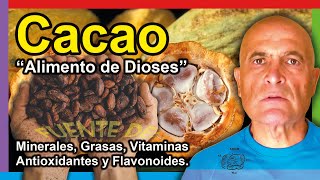 CACAO 🍫 Propiedades Beneficios y Cómo consumirlo 💚 [upl. by Alica]