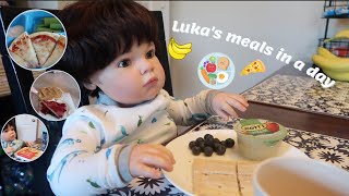 Reborn Toddler Luka’s Meals In A Day  Sophias Reborns [upl. by Jahncke]