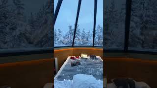 Spending Christmas at the North Pole lovebeauty travel explore adventure nature ytshorts [upl. by Frederiksen909]