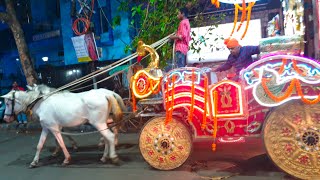 Sindhi New Year Celebrations  Sudder street Calcutta  22 March 2023 [upl. by Durstin]