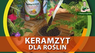 Keramzyt w pielęgnacji roślin  Z PLANTĄ W OGRODZIE [upl. by Haissi]