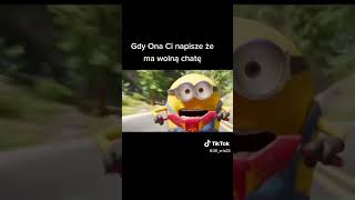 minionki polski dubbing [upl. by Tlevesor]