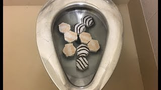 Will it Flush  Zebra Cakes [upl. by Rabkin]