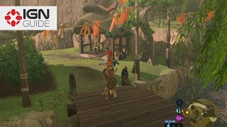 Zelda Breath of the Wild Side Quest  Flown the Coop [upl. by Obbard806]