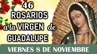 46 Rosarios a la Santísima Virgen de Guadalupe Viernes 8 de Noviembre Dia 12 🙏Misterios Dolorosos🙏 [upl. by Hachman]