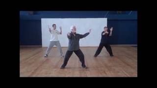 Wudang Tai Chi Chuan Cheng Tin HungDan Docherty short form  טאי צי [upl. by Adav857]