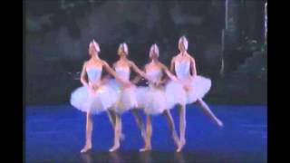 Pyotr Ilyich Tchaikovsky Dance of little Swans piano version [upl. by Keelby]