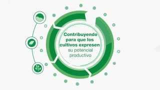 Soluciones Funcionales para Agricultura Functional Crop Care [upl. by Stav306]