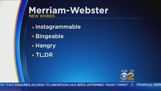 MerriamWebster Ads Hundreds Of New Words [upl. by Ebert]