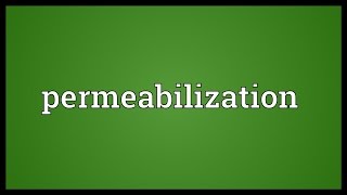 Permeabilization Meaning [upl. by Abehs737]