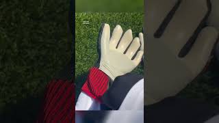 Adidas Predator GK Gloves Unboxing ASMR [upl. by Boykins]