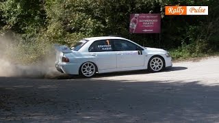 Rally Stari Stolici 2014  Plamen Staykov [upl. by Aztin]