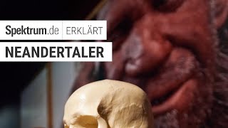 Neandertaler Spektrum erklärt [upl. by Annahsirhc57]