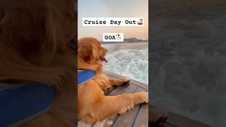 Cruise Day Out 🚢 SailingIntoTheSun OceanViews SeaBound CruiseLife VacationMode bigdawg cute [upl. by Yelnahs]